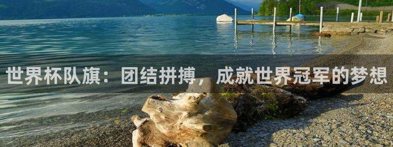 世界杯直播在线观看入口:世界杯队旗:团结拼搏,成就世界冠军的梦想