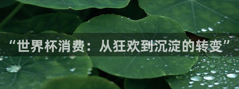世界杯预选赛赛程时间表:“世界杯消费:从狂欢到沉淀的转变”