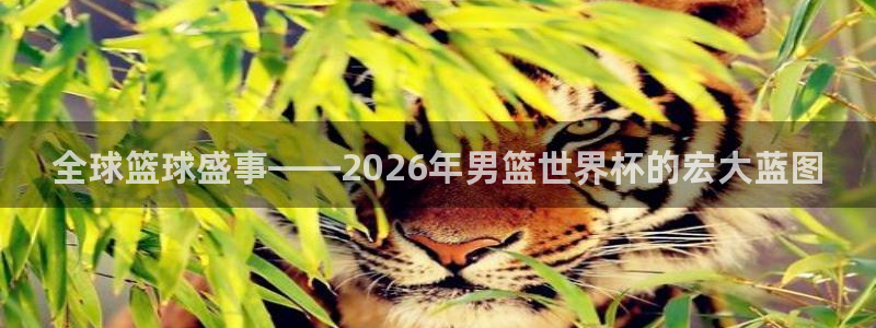 世界杯足球赛2026赛程时间:全球篮球盛事——2026年男篮世界杯的宏大蓝图