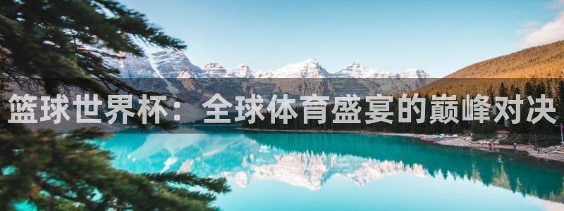 世界杯比赛:篮球世界杯:全球体育盛宴的巅峰对决