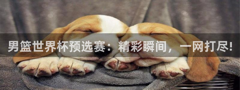 世界杯直播时间:男篮世界杯预选赛:精彩瞬间,一网打尽!
