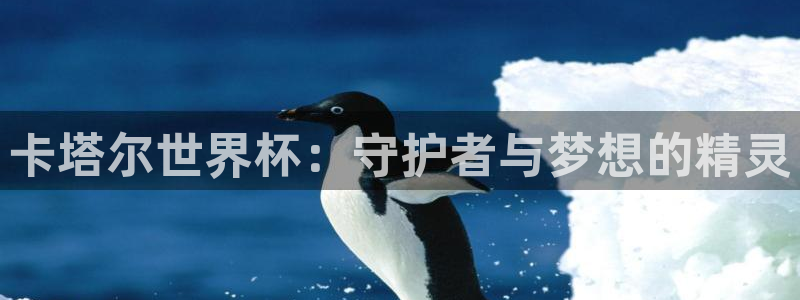 世预赛直播:卡塔尔世界杯:守护者与梦想的精灵