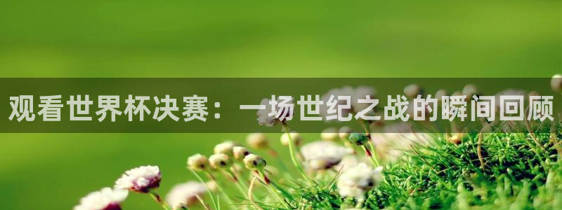 世界杯 赛程:观看世界杯决赛:一场世纪之战的瞬间回顾