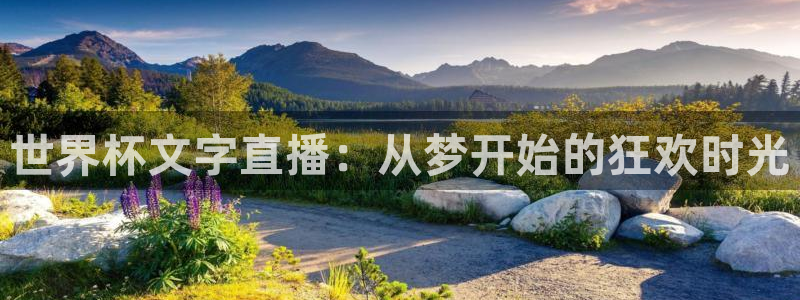 世界杯足球赛:世界杯文字直播:从梦开始的狂欢时光