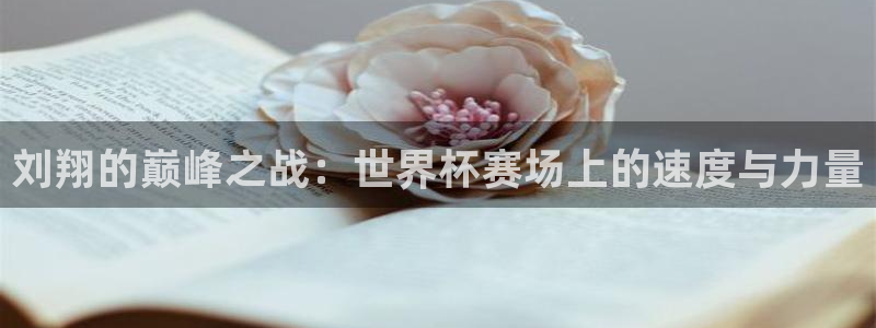 2026世界杯亚洲预选赛赛程:刘翔的巅峰之战:世界杯赛场上的速度与力量