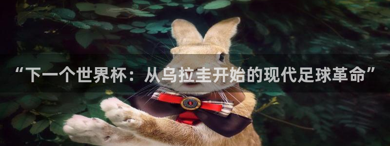 2026世界杯德国队阵容:“下一个世界杯:从乌拉圭开始的现代足球革命”