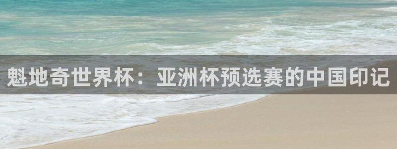 2026足球世界杯:魁地奇世界杯:亚洲杯预选赛的中国印记