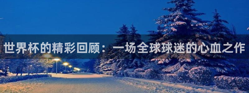 英足总杯直播:世界杯的精彩回顾:一场全球球迷的心血之作