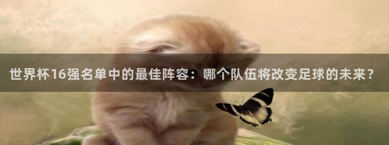 世界杯球赛:世界杯16强名单中的最佳阵容:哪个队伍将改变足球的未来?