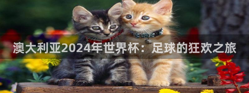 世界杯今日赛程直播:澳大利亚2024年世界杯:足球的狂欢之旅