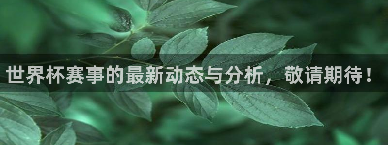 世界杯预选赛2026:世界杯赛事的最新动态与分析,敬请期待!