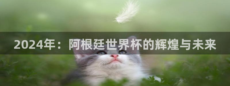 联赛杯直播:2024年:阿根廷世界杯的辉煌与未来